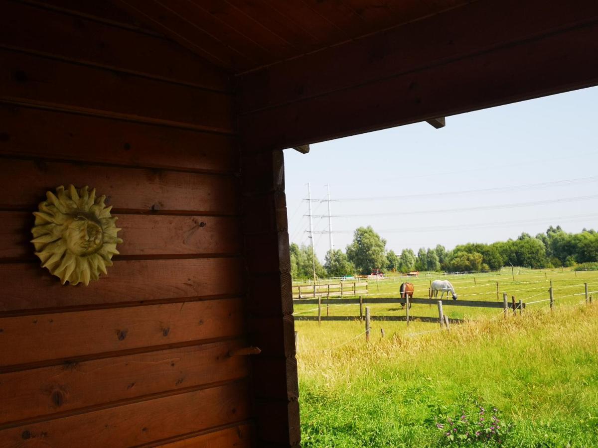 Ruime Romantische Blokhut Zwaanshoek Exterior photo